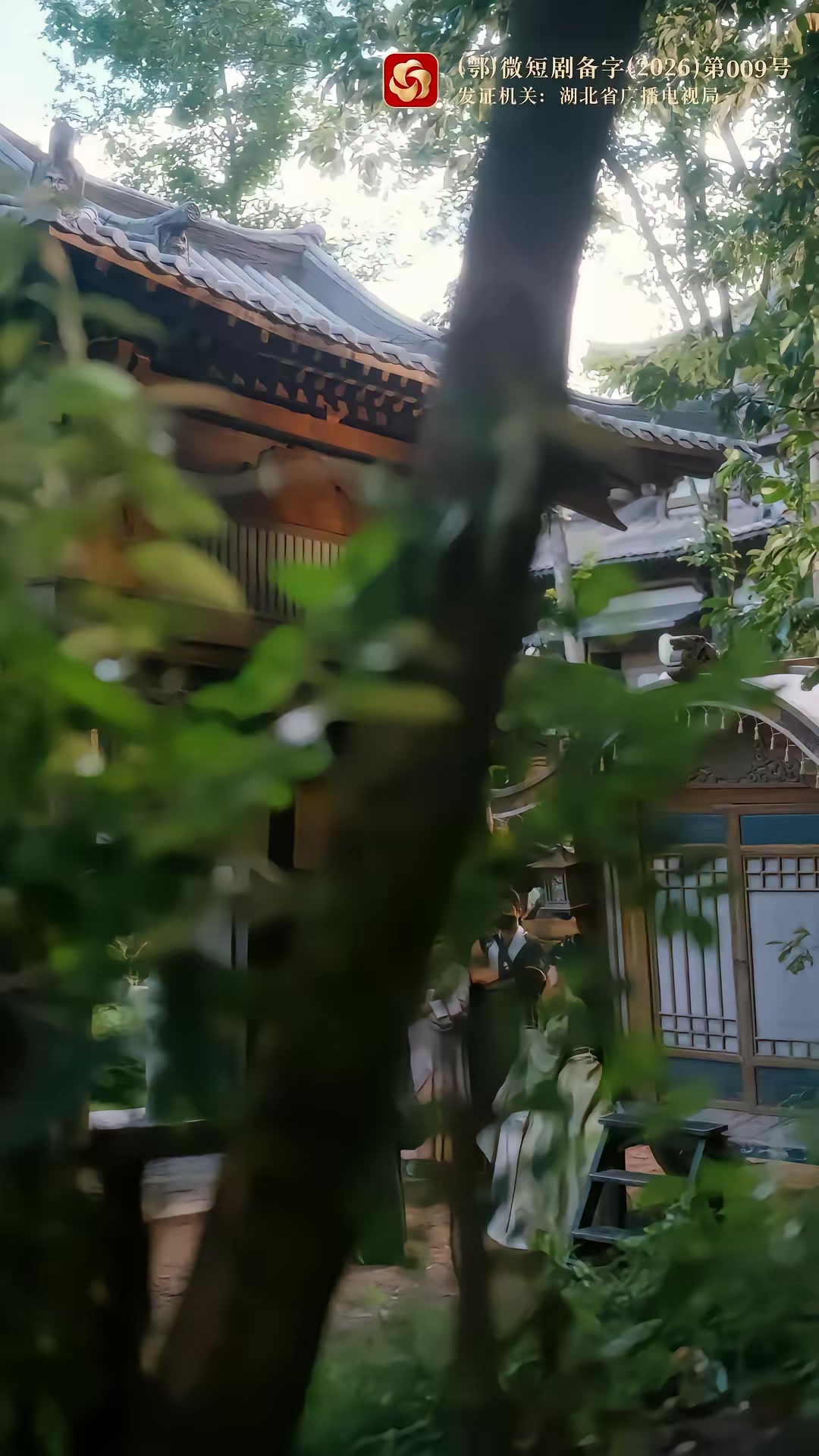 《枝頭春意鬧》劇照