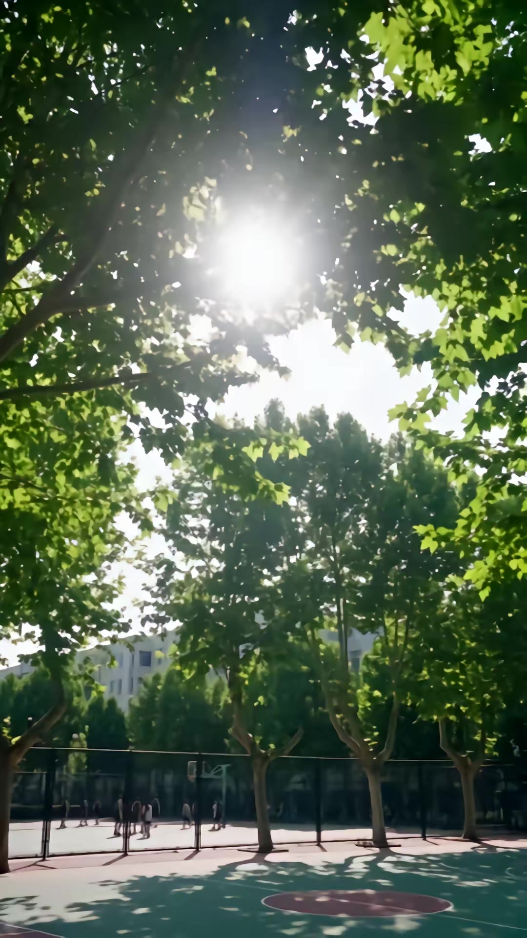 《兩百斤的舊月光》劇照