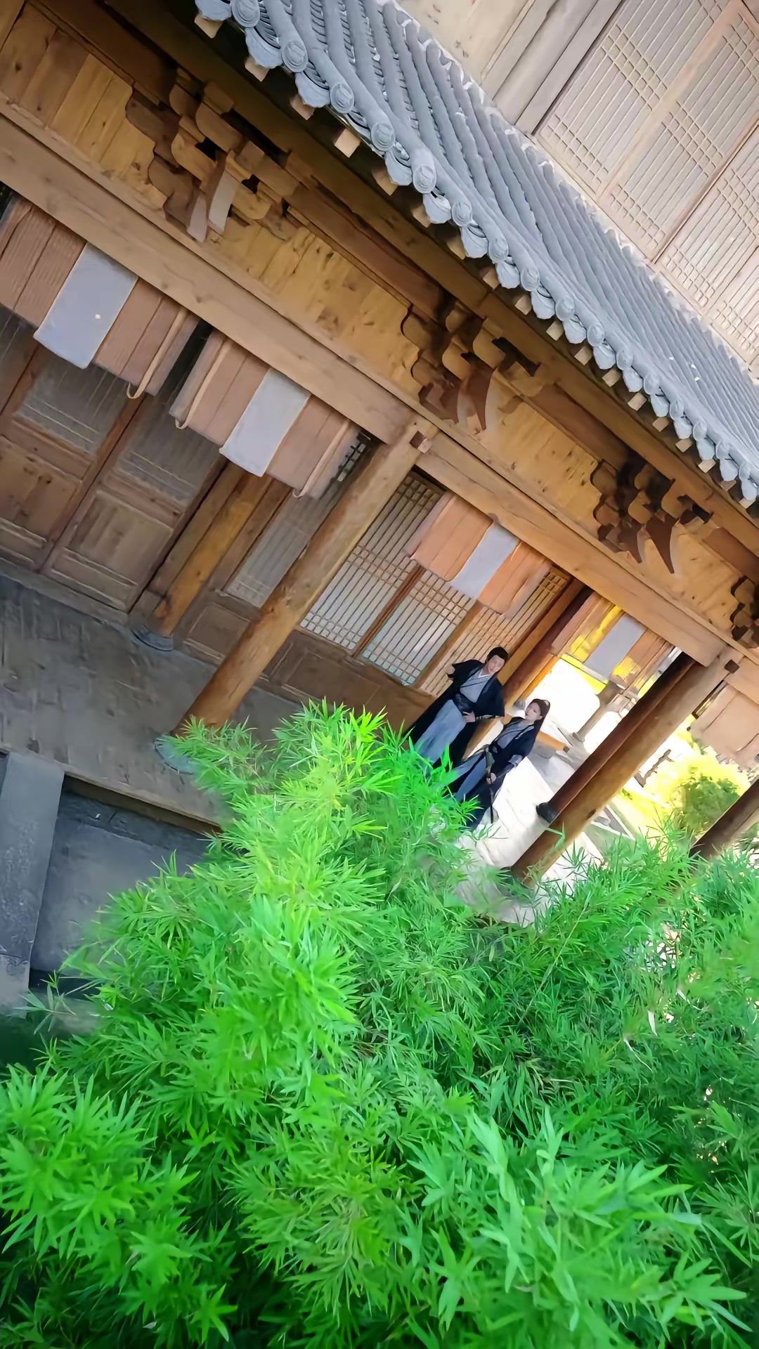 《撥開雲霧見青天第二季》劇照
