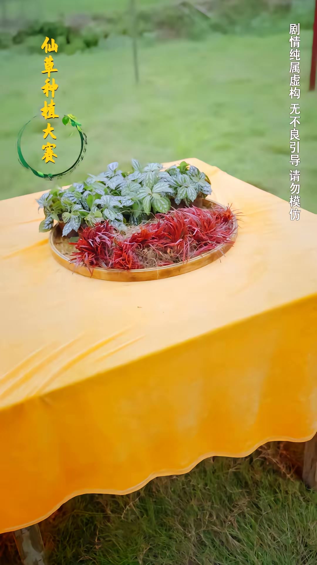 《种菜十年，我无敌了》剧照