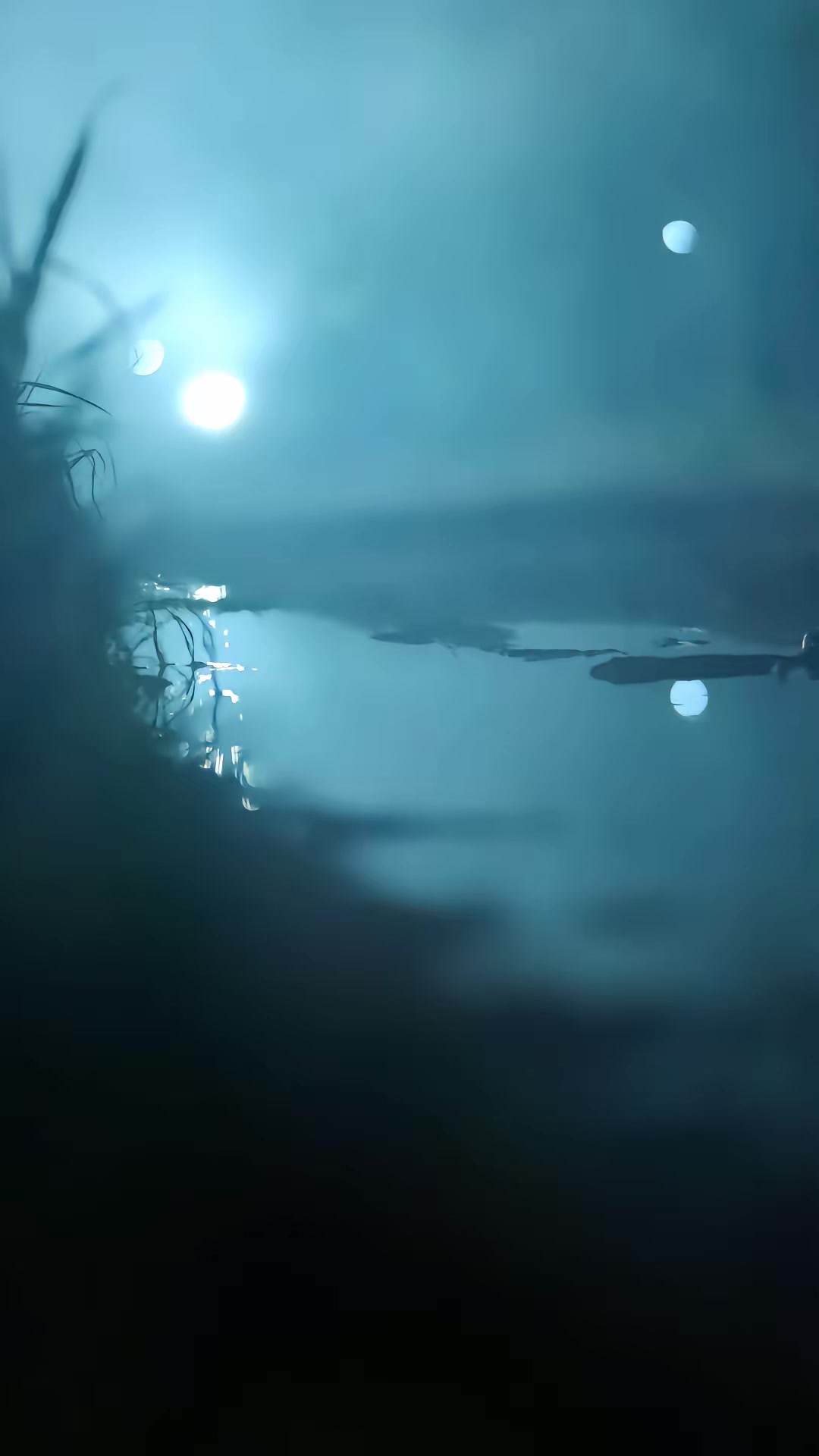 《獵金：逃出緬北》劇照