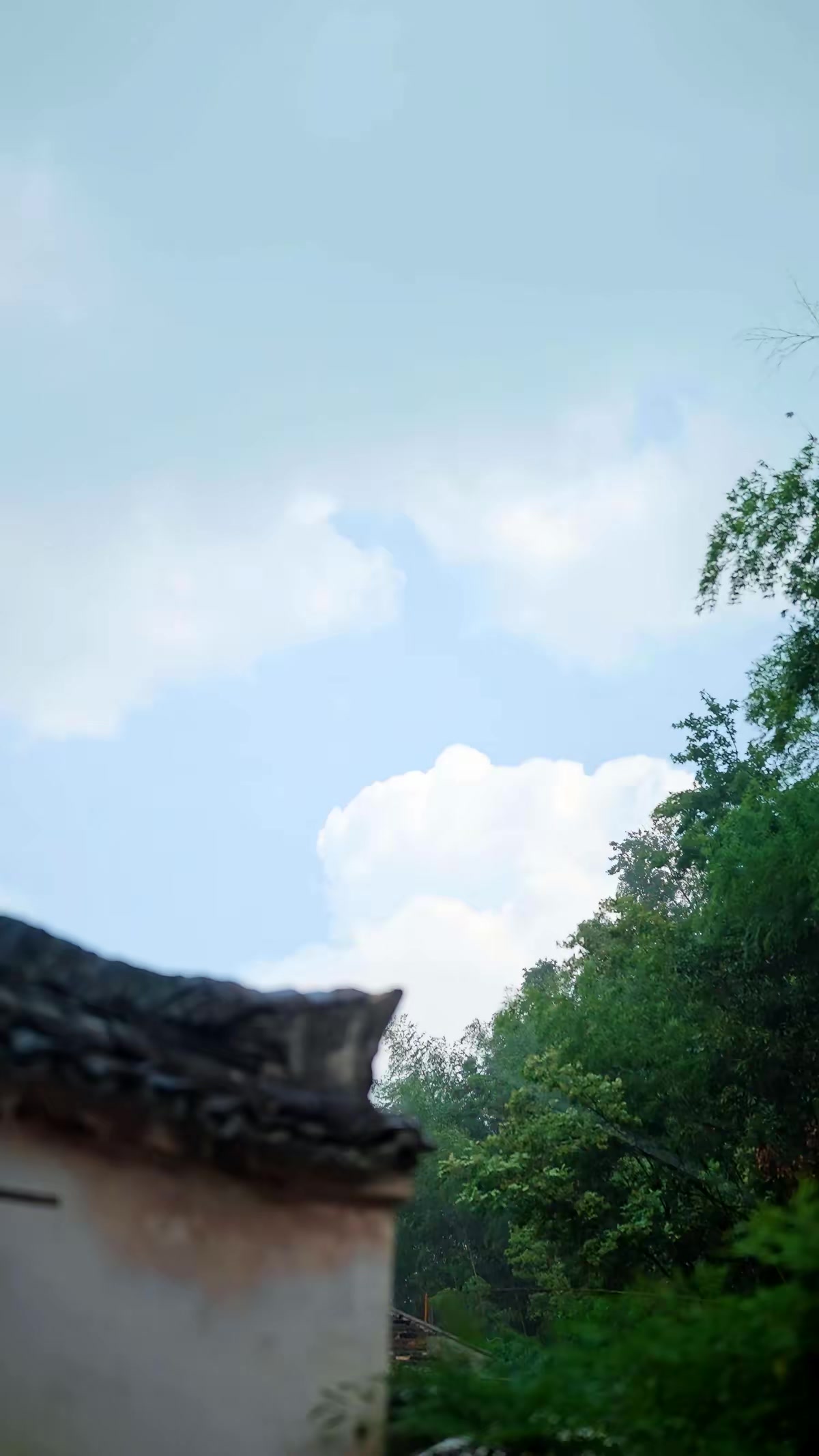 《一盞星星燈》劇照