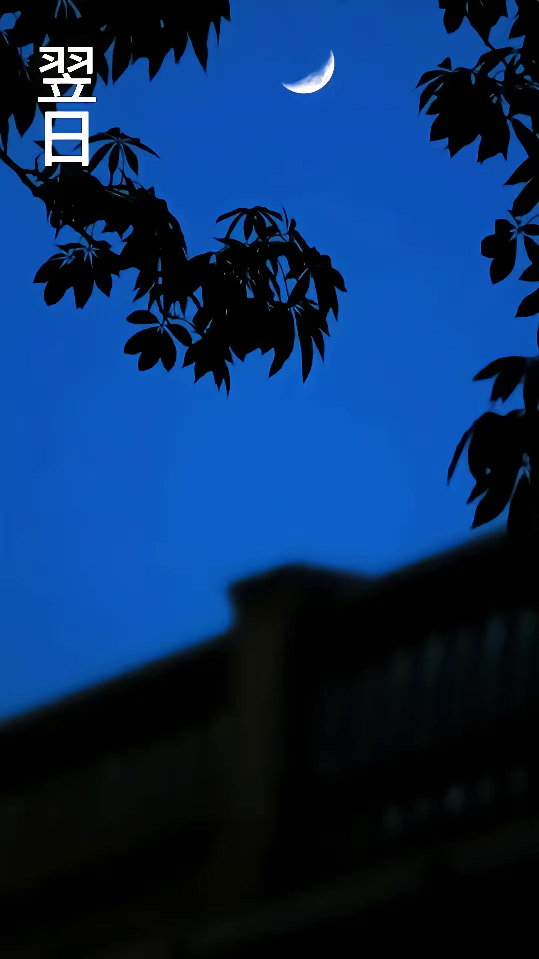 《将军令之老祖驾到扭转乾坤》剧照