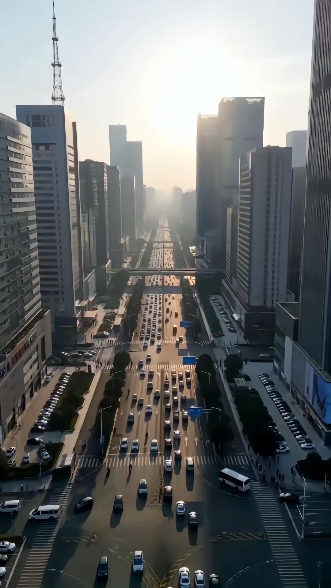 《我不敗狂龍，師姐別追了》劇照