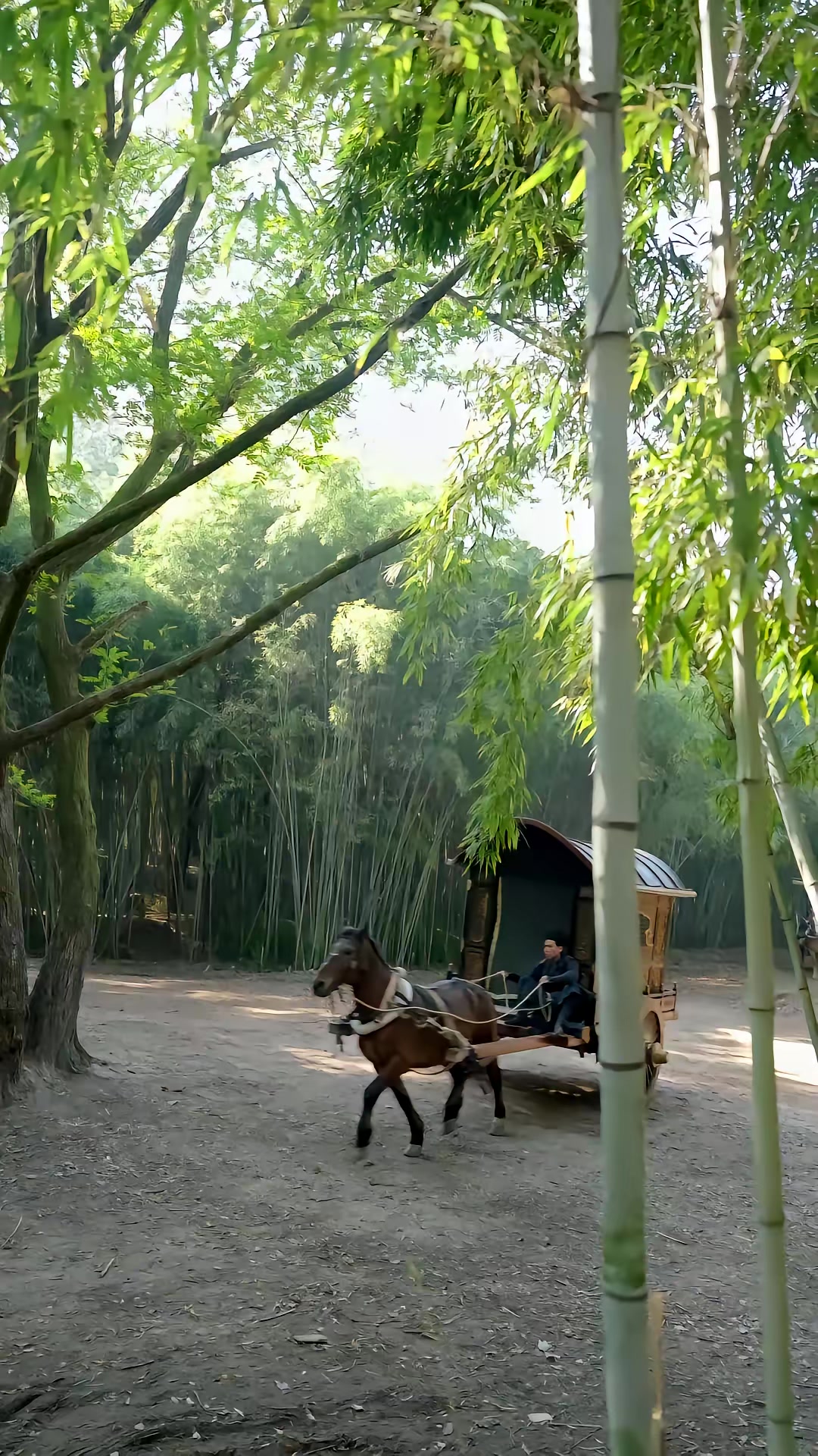 《什么白月光，我是他们的黑心莲》剧照