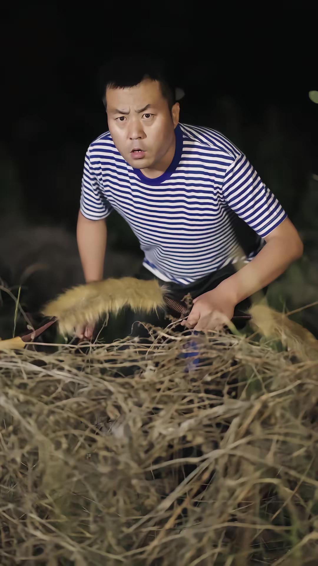 《豬精》劇照