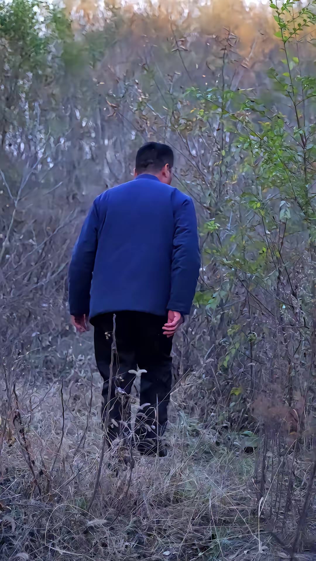 《邪惡的黑山羊》劇照