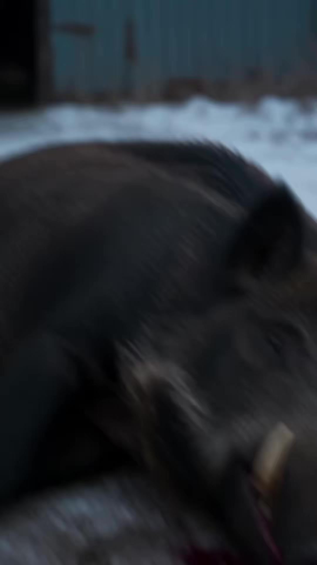 《重生六零：我靠空間養妹妹》劇照