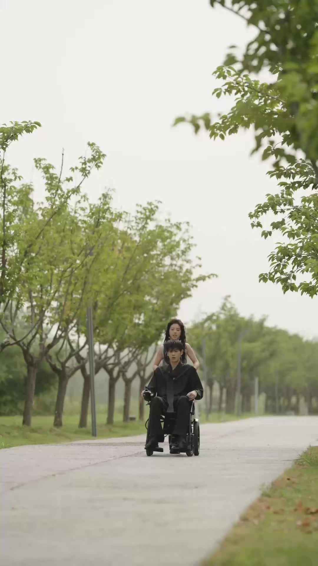 《夫人一個過肩摔，傅家輪椅站起來了》劇照