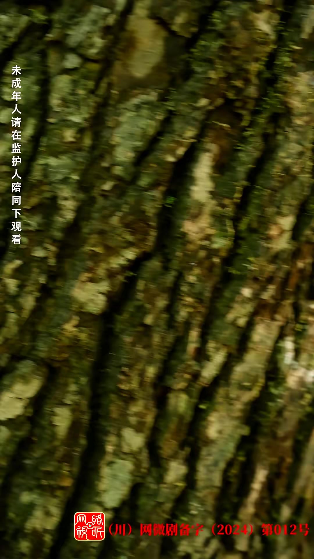 《荒野迷踪》剧照