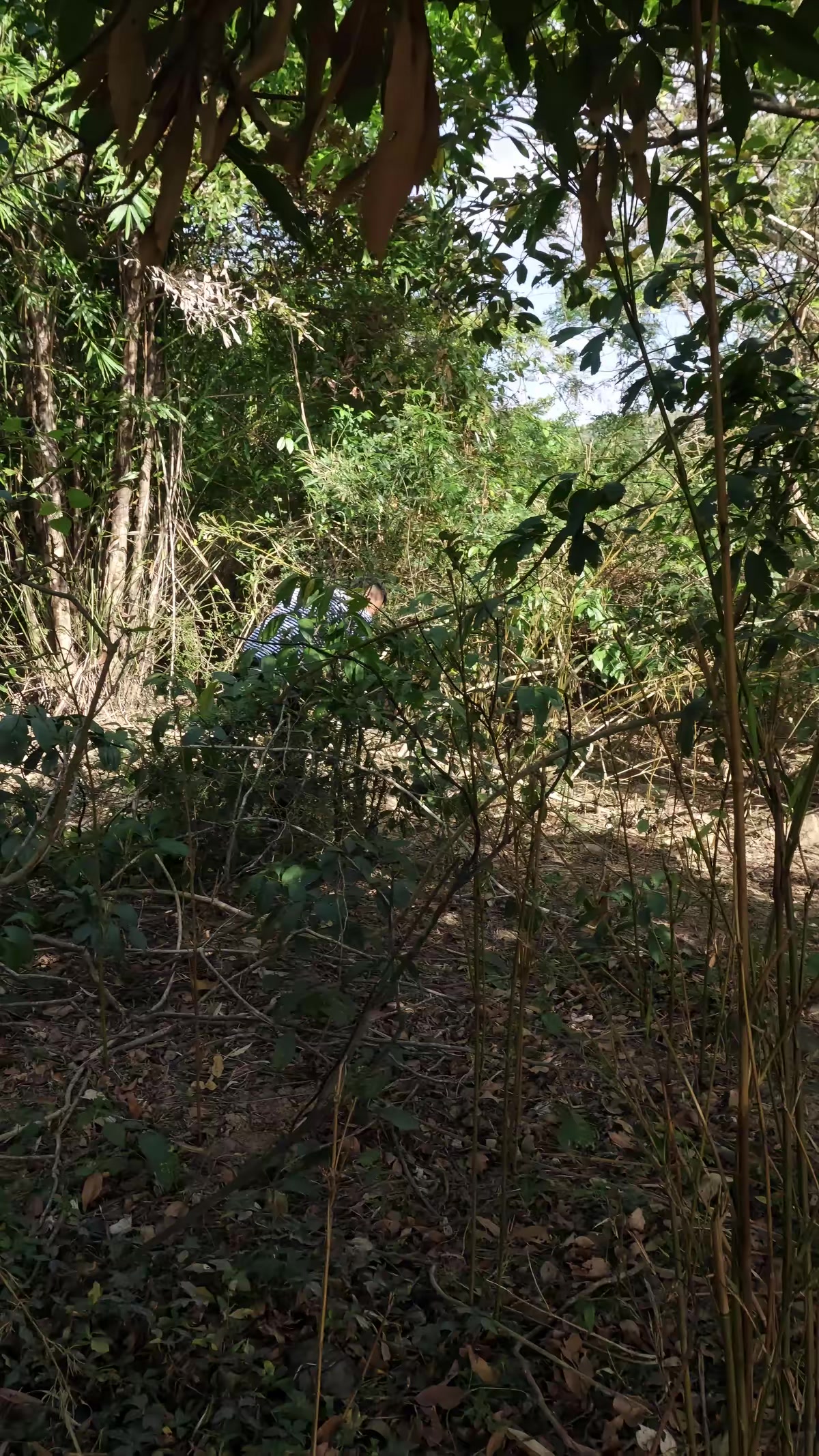 《水詭》劇照