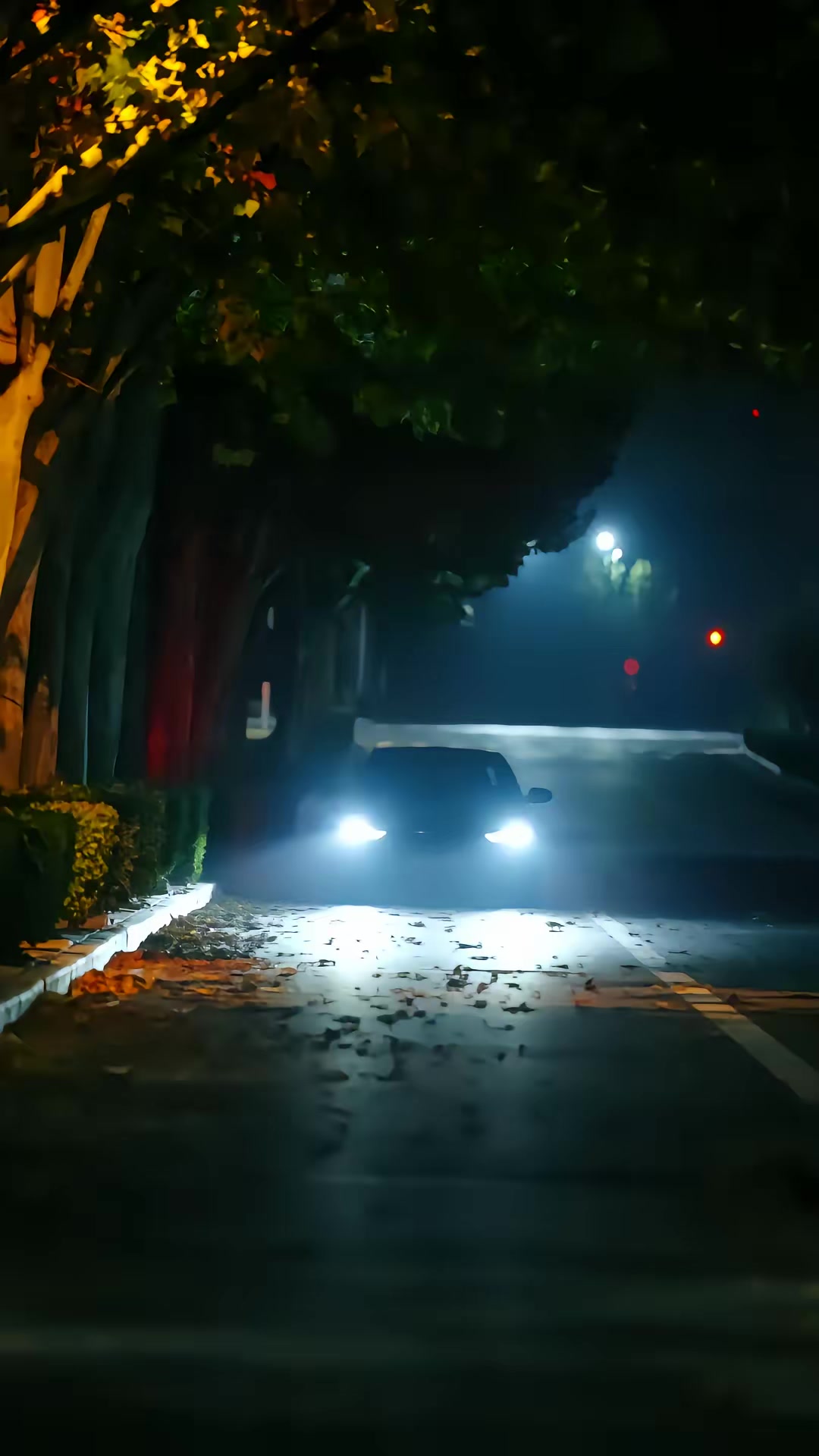 《美少妇携痞帅护宝智降群魔》剧照