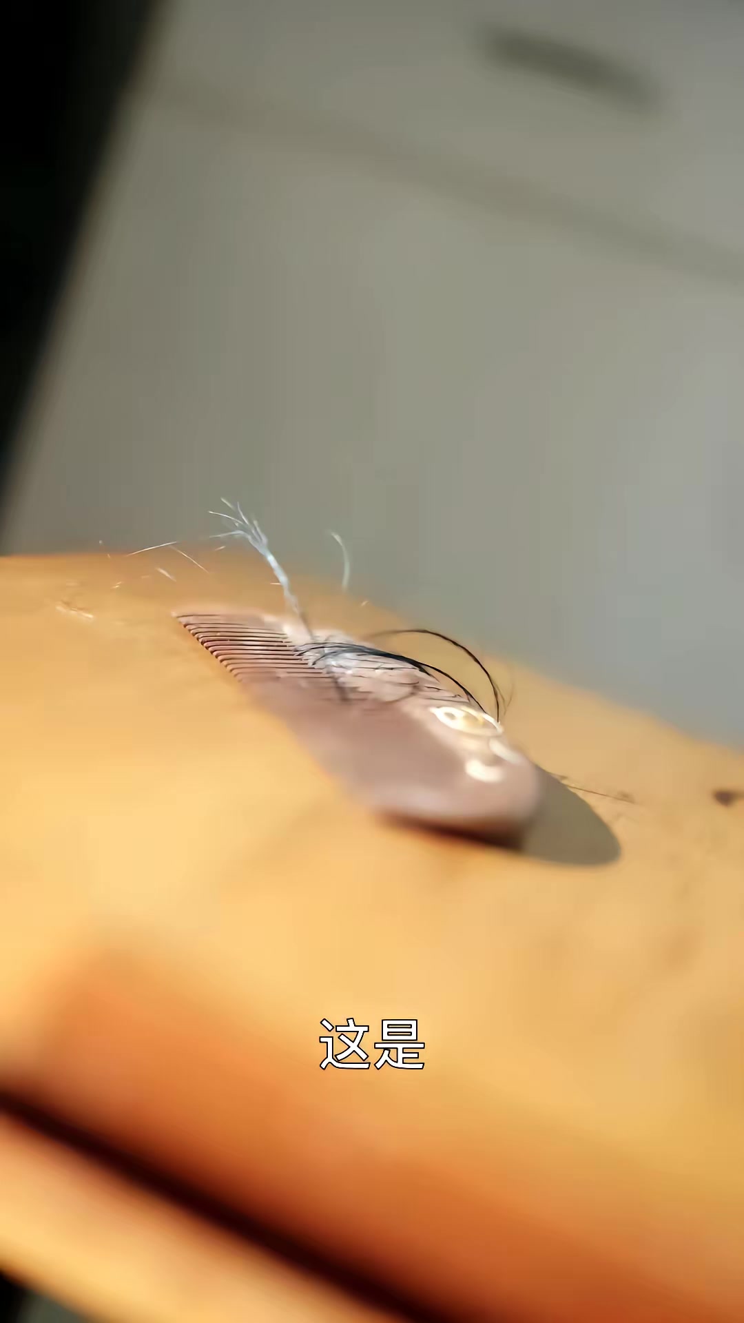 《404的秘密》剧照