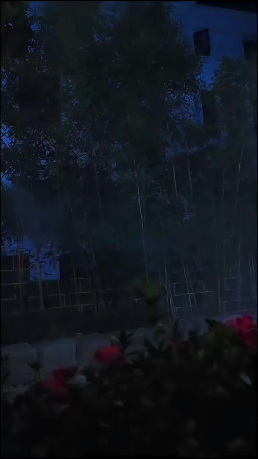《师姐带我走上人生巅峰》剧照