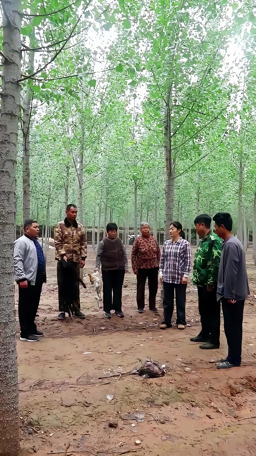 《狐闹》剧照