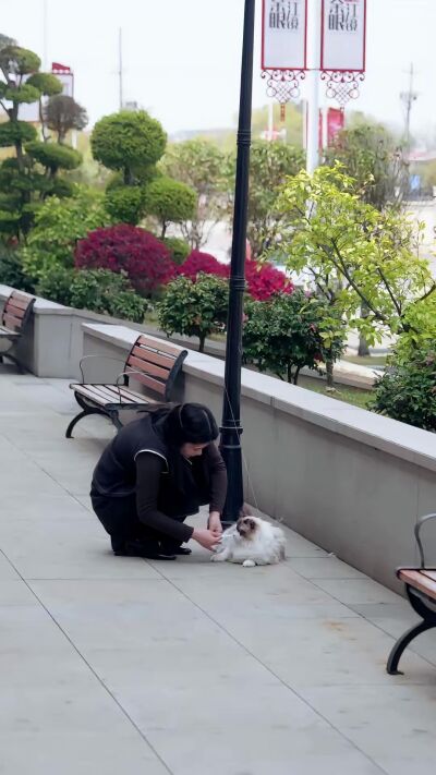 《诡案痕检实录》剧照