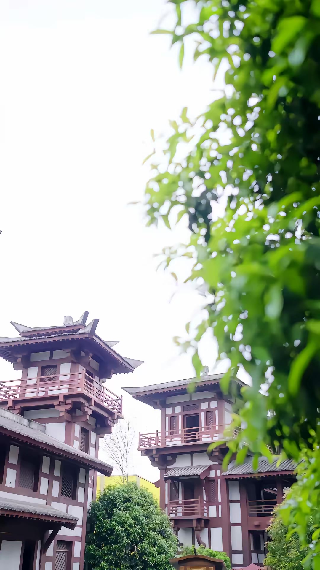 《亂世荒年：我帶紅顏糧肉滿倉》劇照