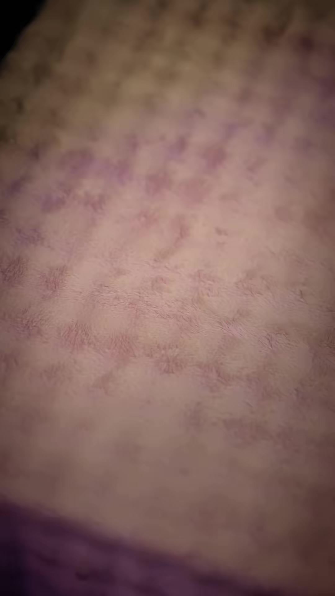 《極寒末世：我靠網店當上女領主》劇照