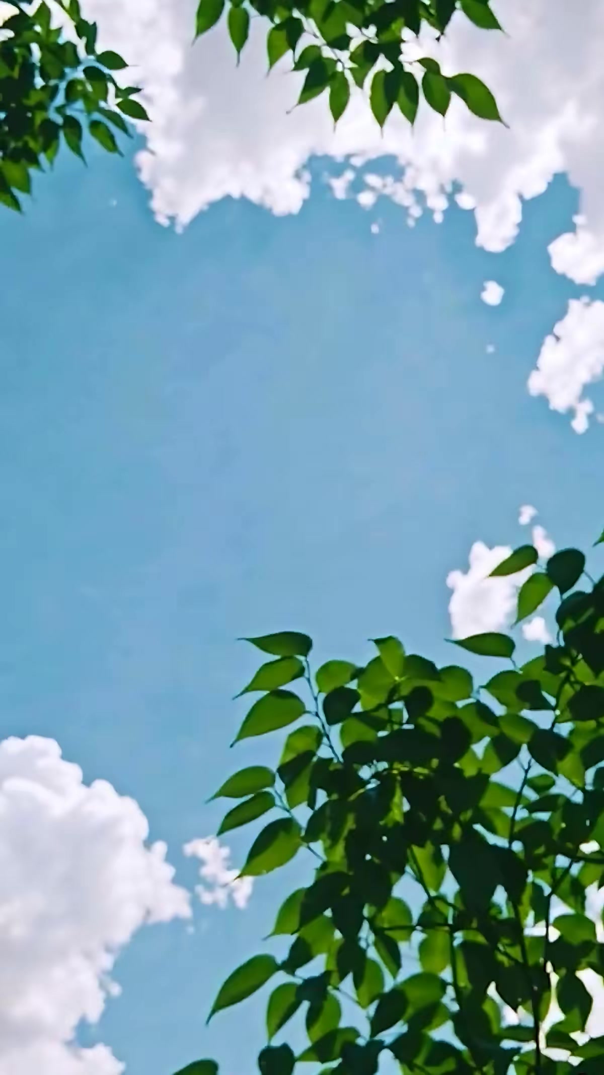 《一盞星星燈》劇照