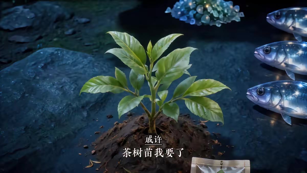《车粉人狠4公路求生榜一说她要走到公路尽头》剧照