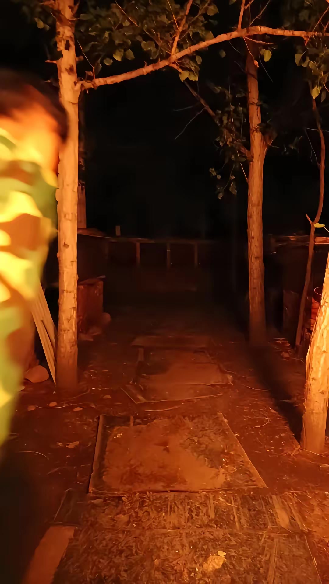 《狐闹》剧照