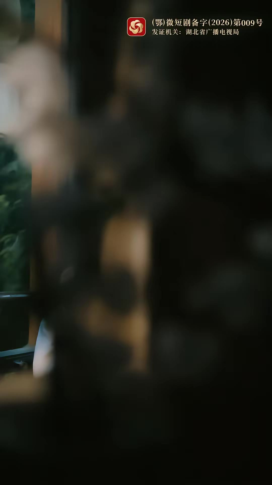 《枝頭春意鬧》劇照