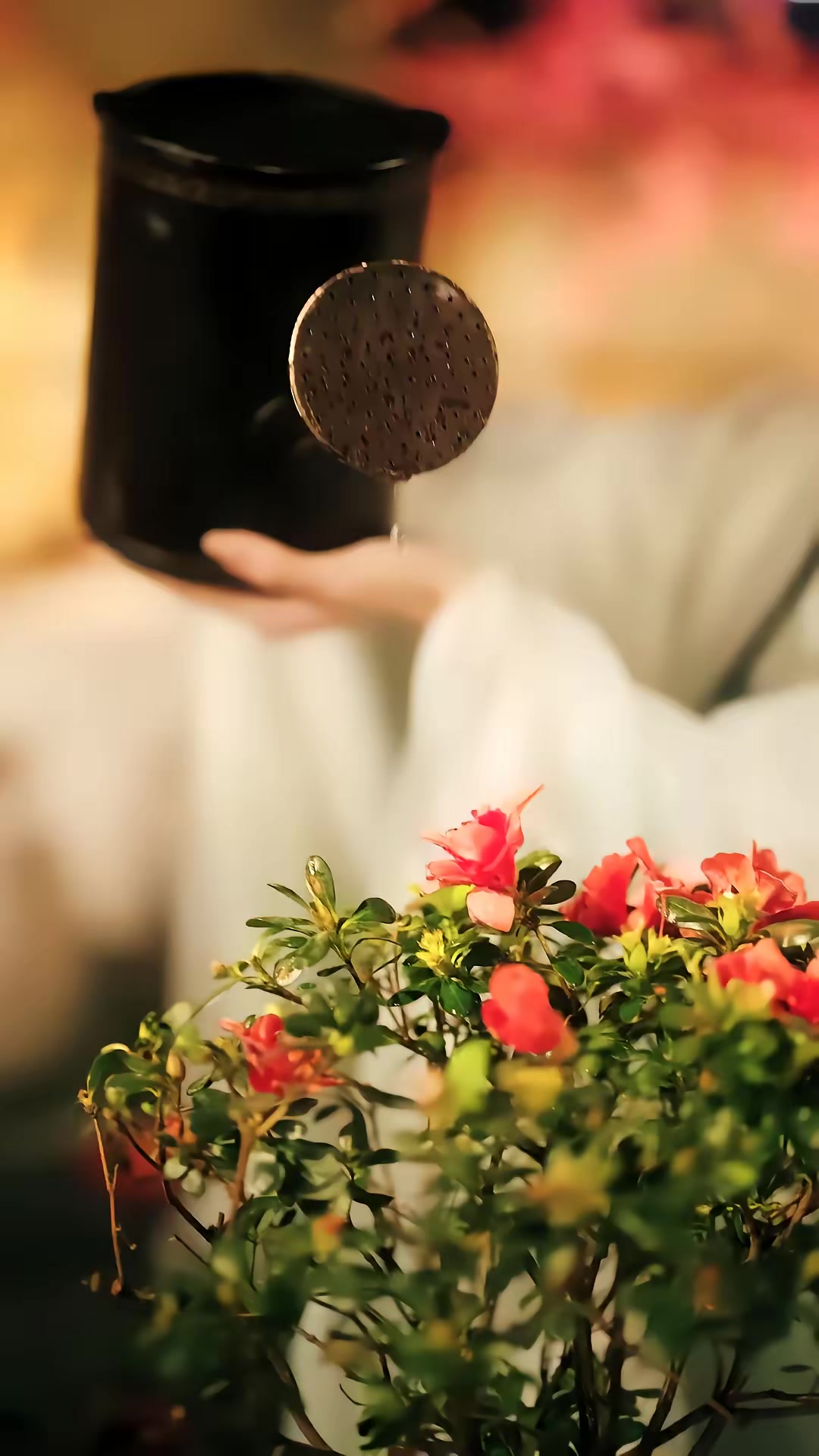 《江南可採蓮》劇照