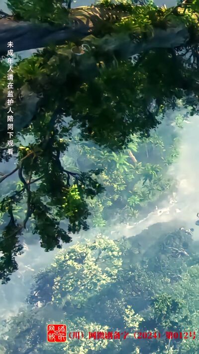 《荒野迷踪》剧照