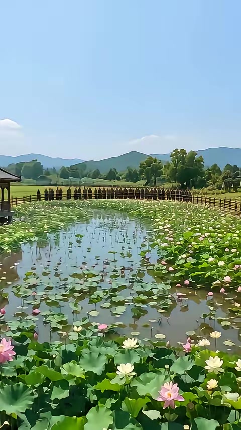 《妹妹搶錯郎，我卻嫁兵王第三季》劇照