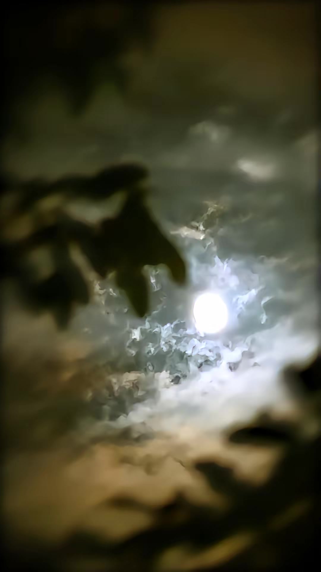《拜錯墳後，太奶她顯靈了》劇照