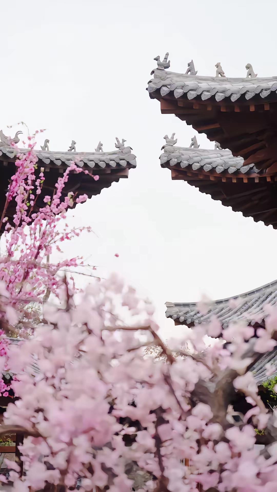《退，全族聽我長姐號令》劇照