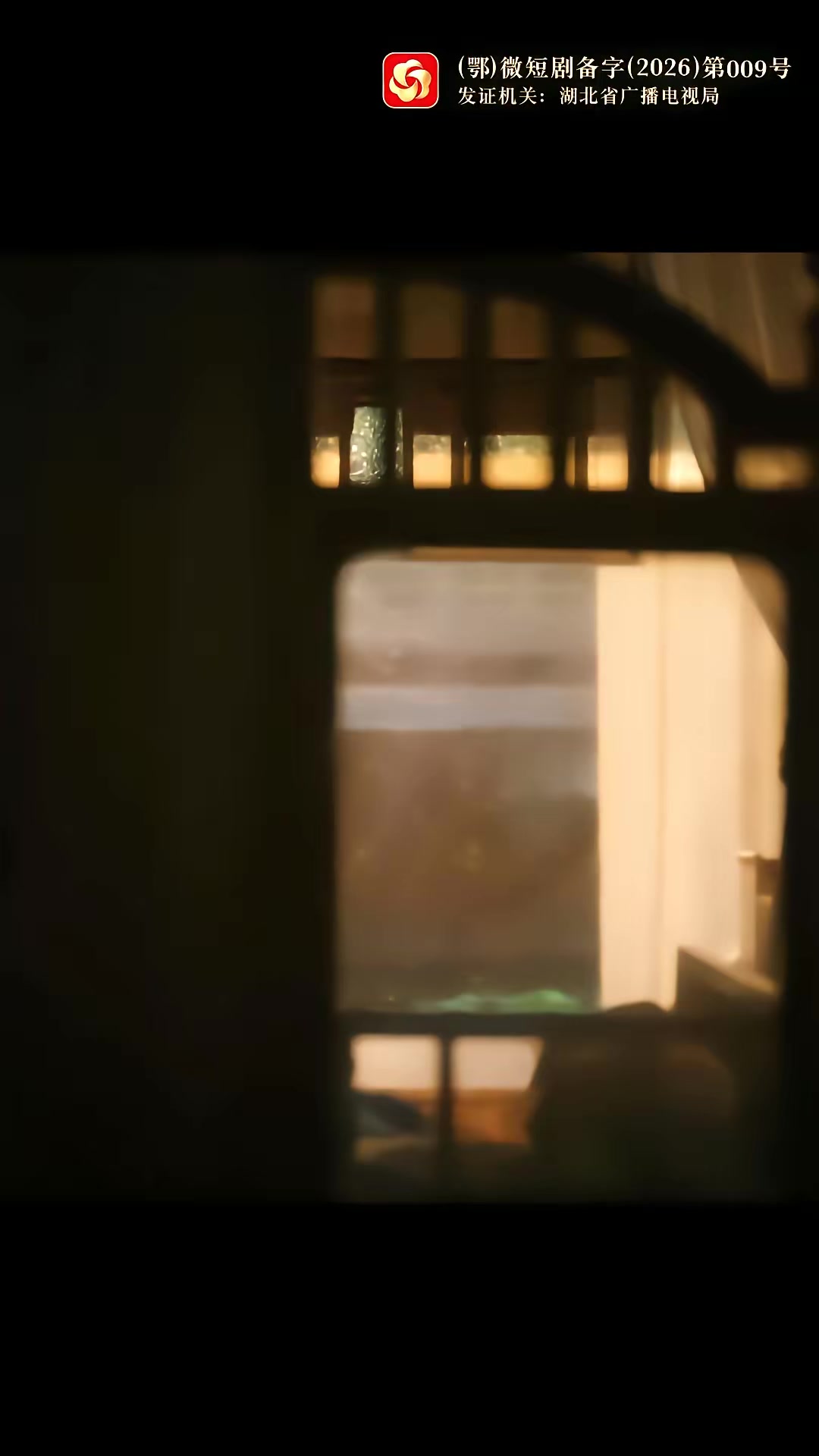 《枝頭春意鬧》劇照