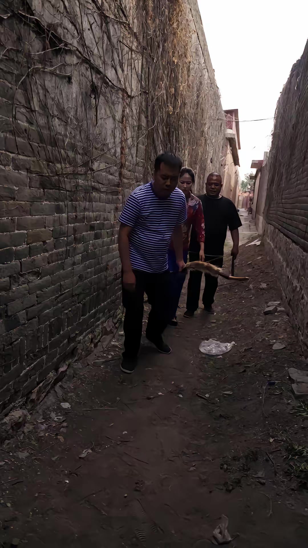 《豬精》劇照