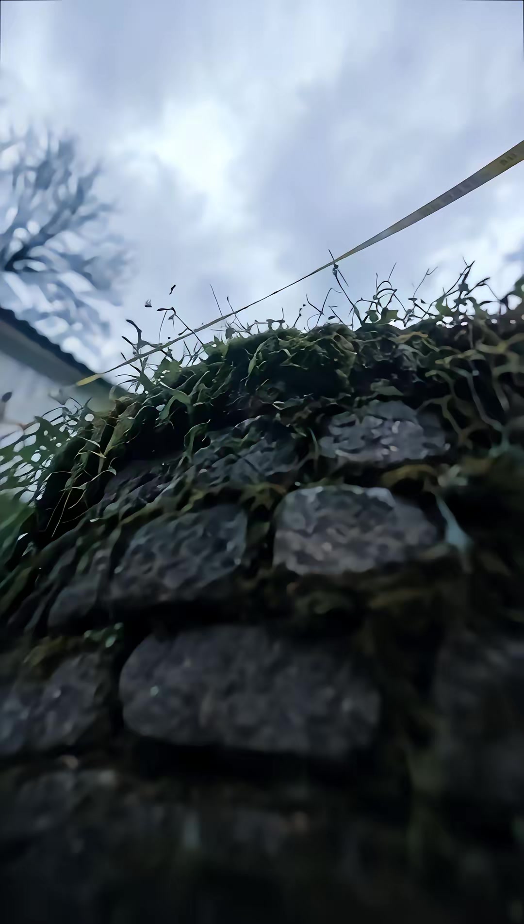 《我突破煉氣期開始暴富2》劇照