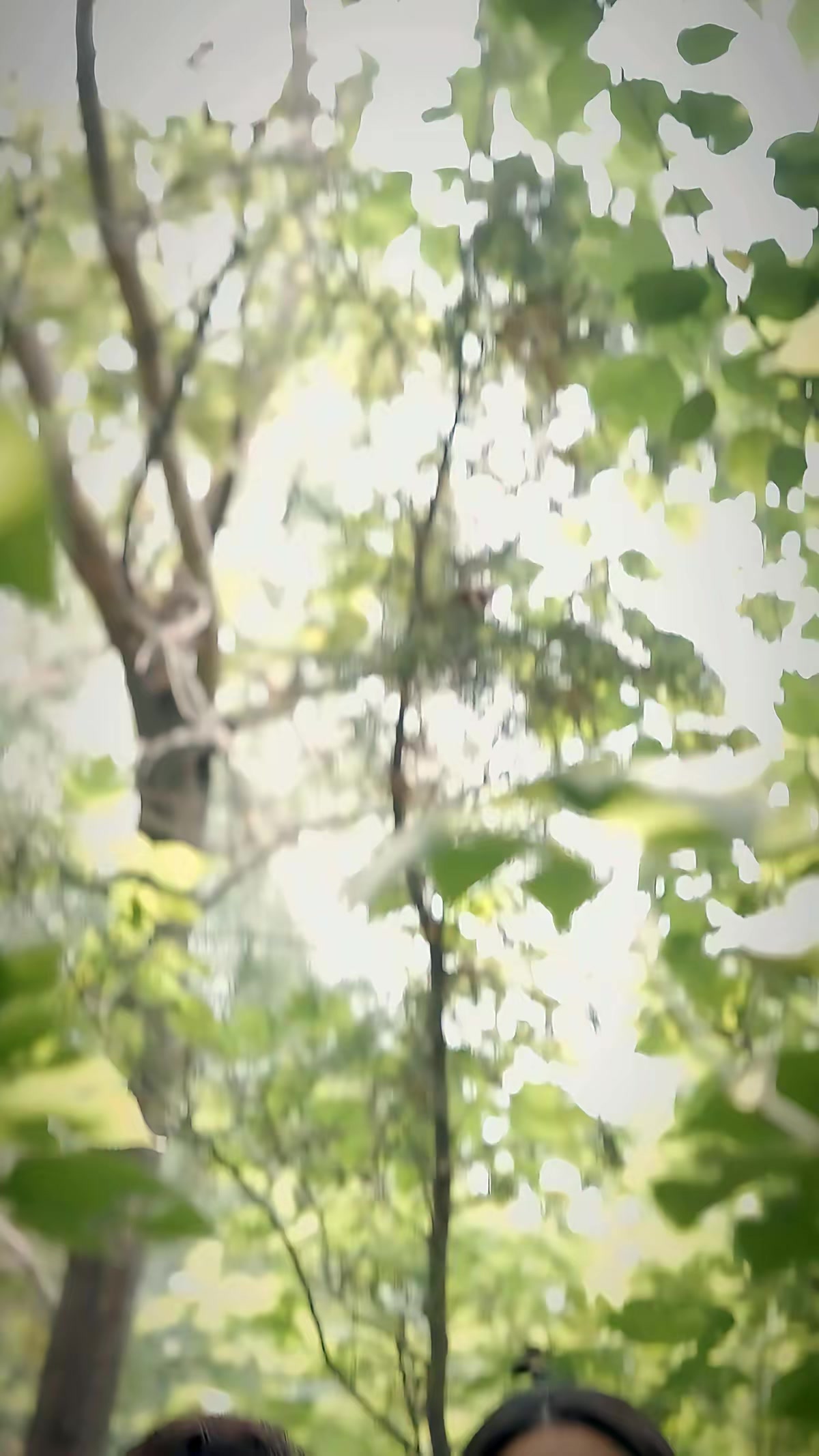 《兇獸追痕》劇照