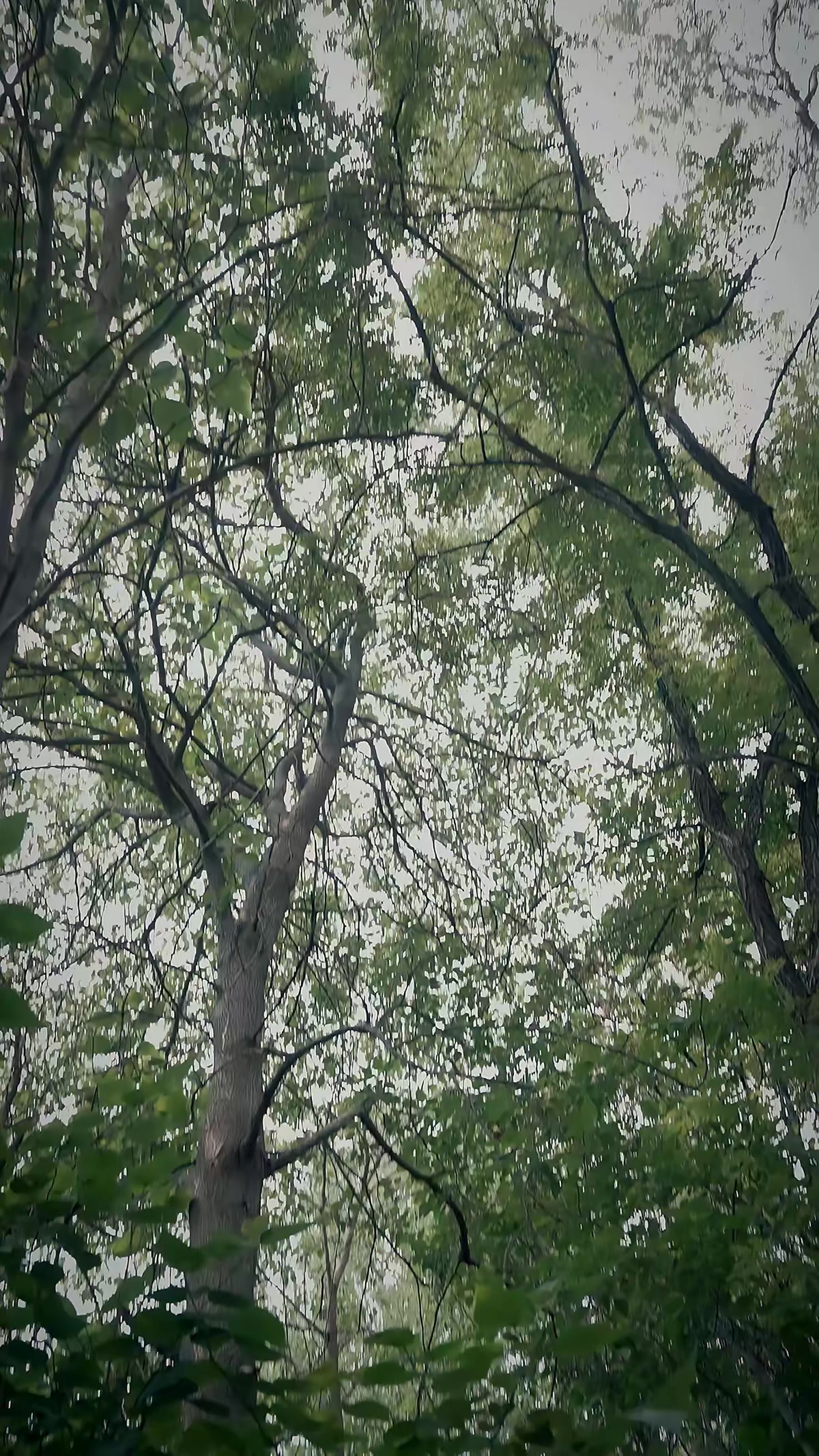 《兇獸追痕》劇照