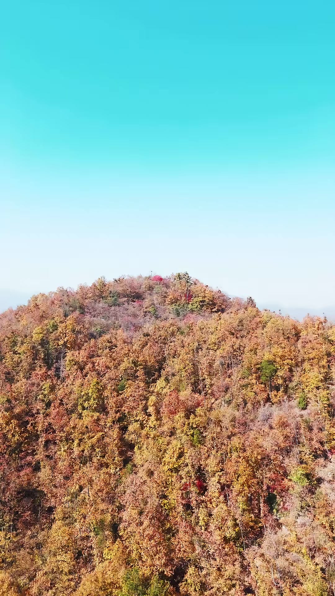 《我欲成仙》剧照