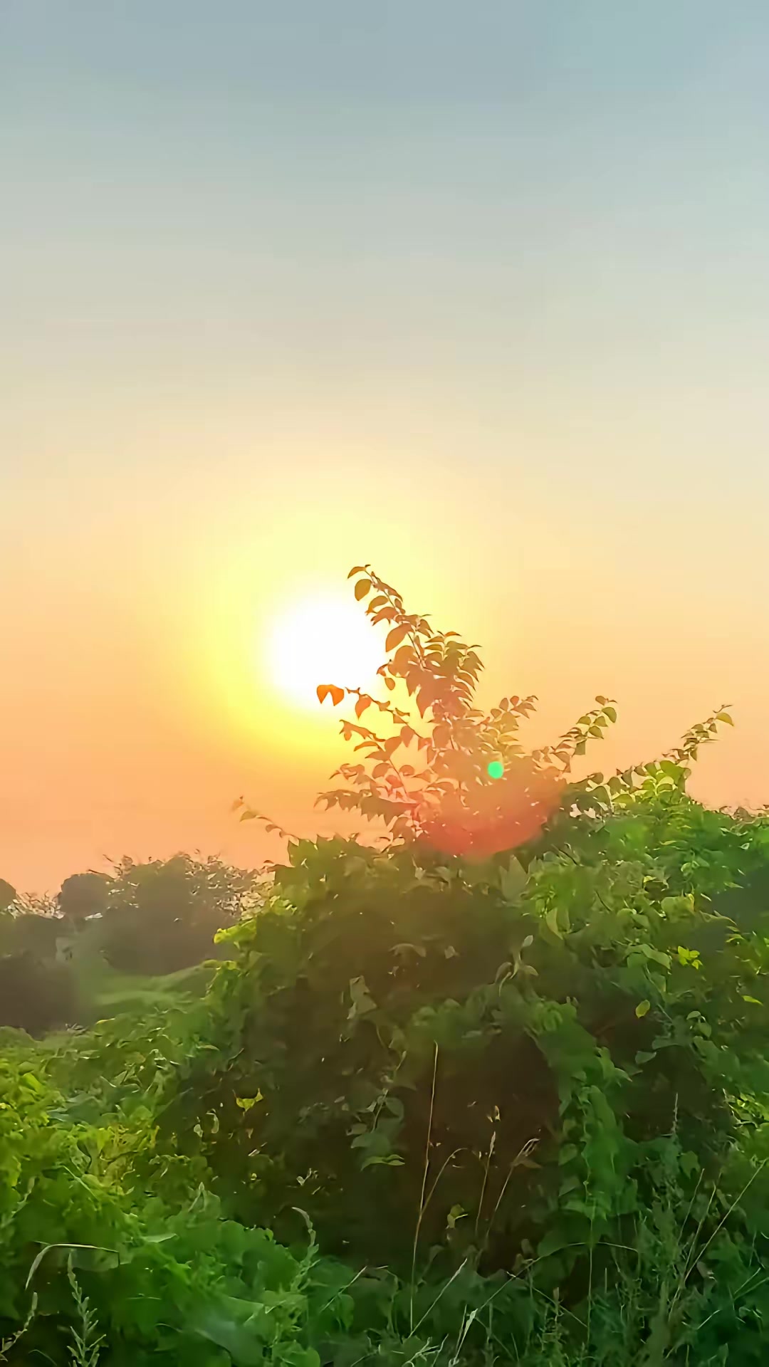 《凶狐》剧照