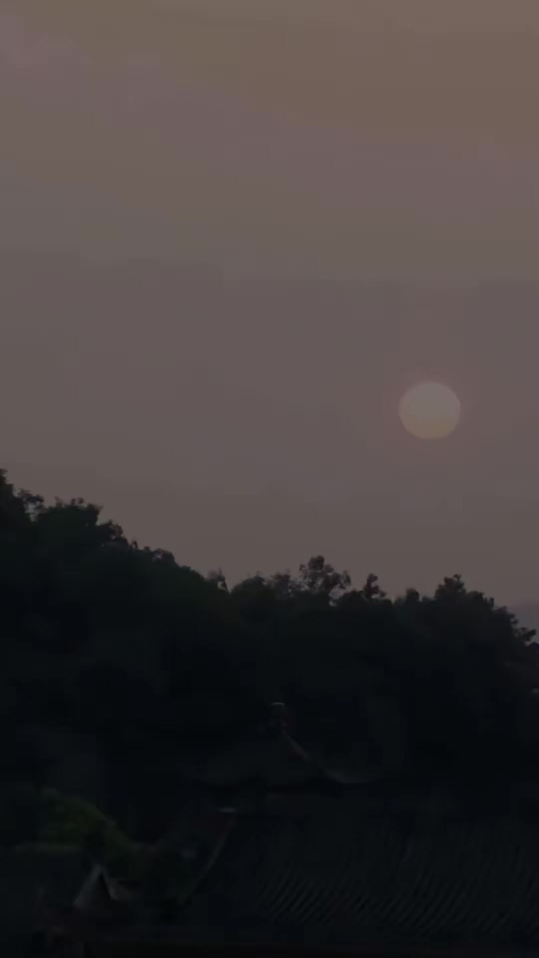 《被搶當王妃，我用嫁妝帶飛王府》劇照