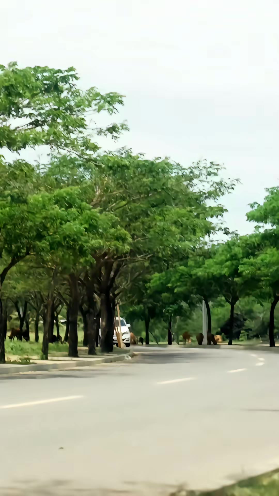 《暗巷回声》剧照