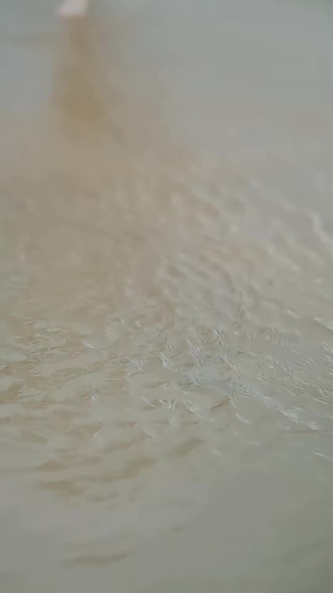 《驕驕藏不住》劇照
