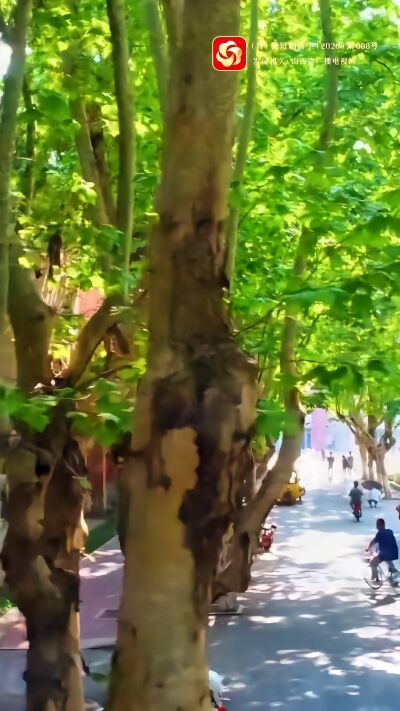 《野有蔓草》劇照