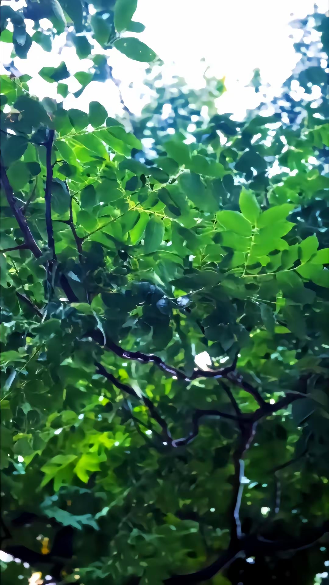 《你憑什麼認為我會一直喜歡你呢》劇照