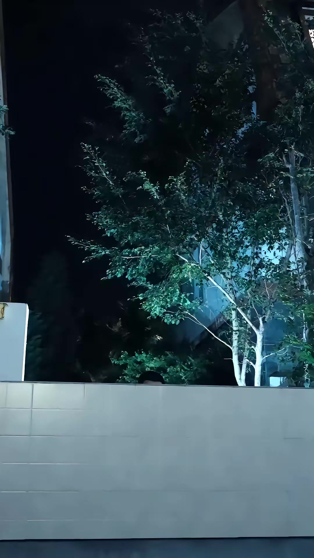 《暗巷回声》剧照