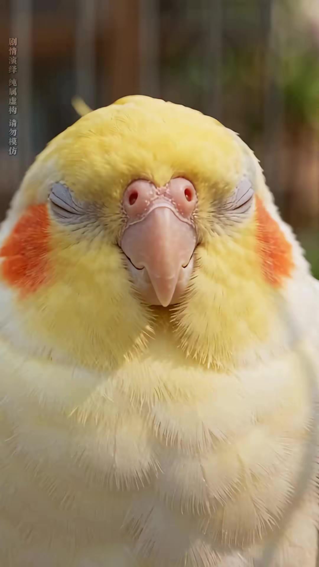 《七变寻母》剧照