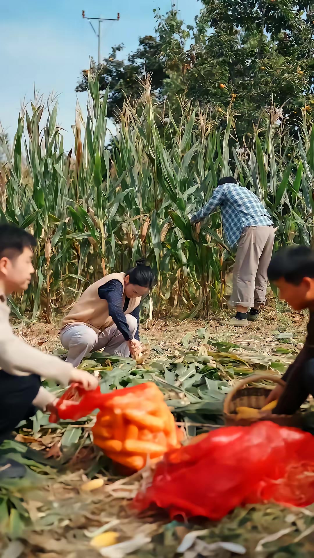 《丈夫靠种地，扶我上青云》剧照
