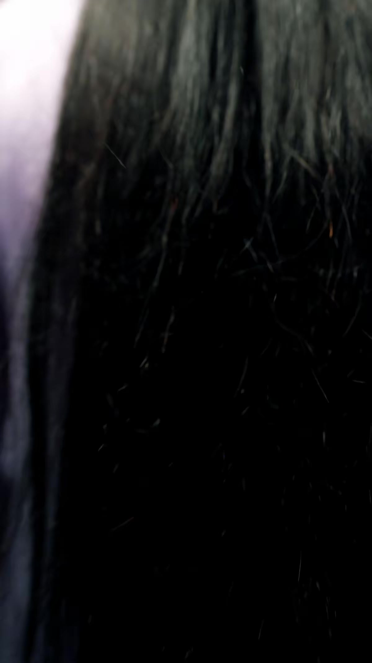 《讓你管徭役，你白粥榨菜管夠》劇照