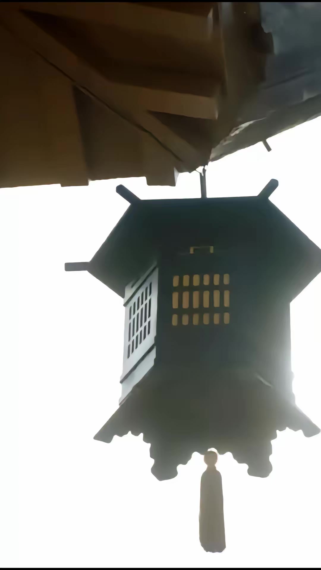 《什么白月光，我是他们的黑心莲》剧照