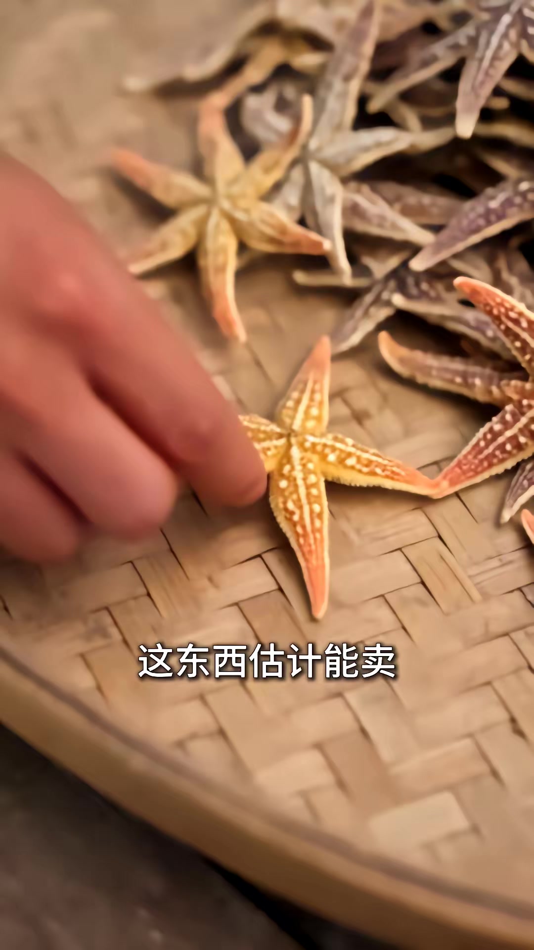 《重回1980：深海獵王從趕海開始》劇照