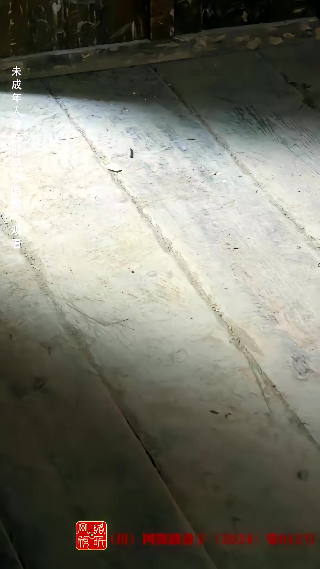 《荒野迷踪》剧照